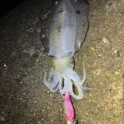 お久しぶりです!!