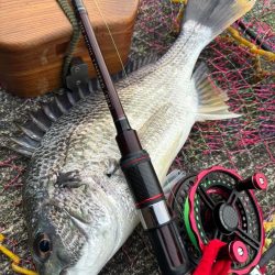 ヘチってきました