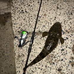 汽水湖の奥でマゴチ!!