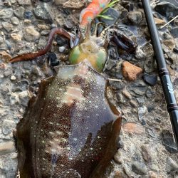 エグいほど渋い!