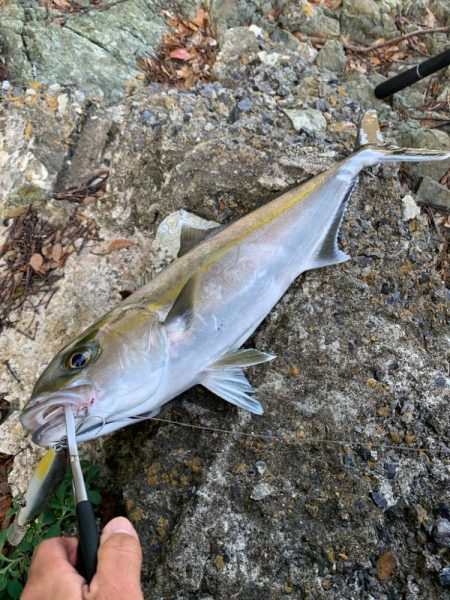 地磯ショアジギング