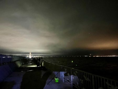 貝塚人工島タチウオテンヤ