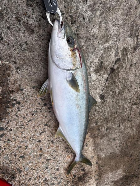 テストのはずが.....