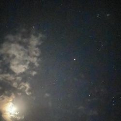 養老遠征エギング