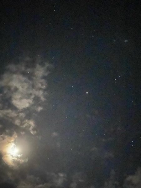 養老遠征エギング