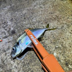 ポイントによって反応が全然違う!爆釣ポイントなら何ぼでも釣れます!!