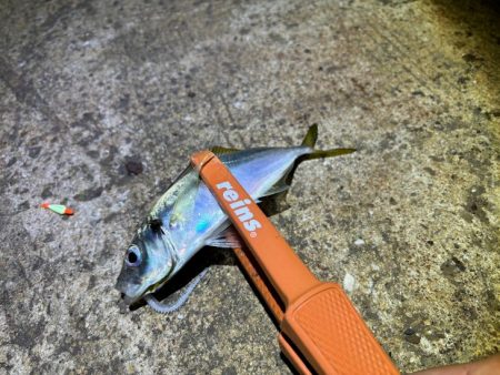 ポイントによって反応が全然違う！爆釣ポイン…