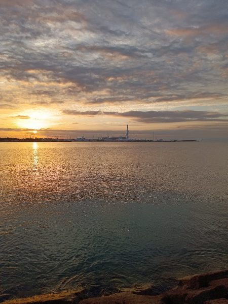 丸々と太ったキスが……