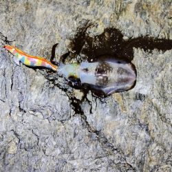 先生ありがとうございます～