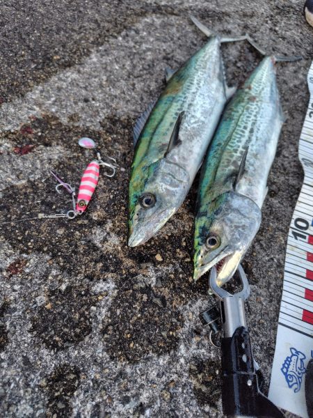 ムコイチ祭り会場は？