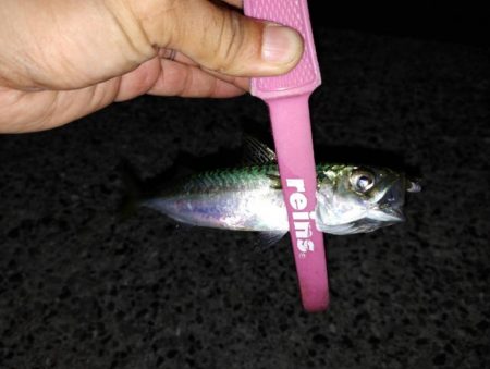 ちょっとサイズアップ?