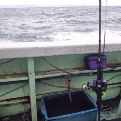 太刀魚不漁?渋いだけ?