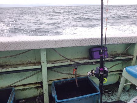 太刀魚不漁?渋いだけ?