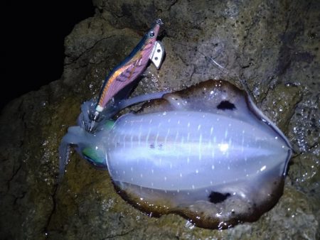 月明かりの無い大潮では