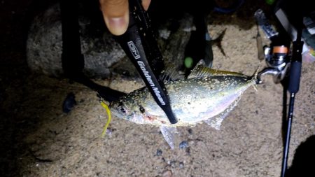 フロートアジング