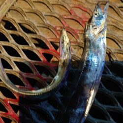 想像通りの状況