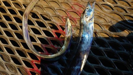 想像通りの状況