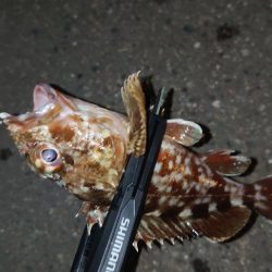 気が抜けてますわ。