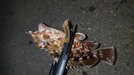 気が抜けてますわ。