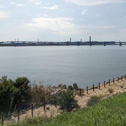 3年ぶりにサヨリ釣り