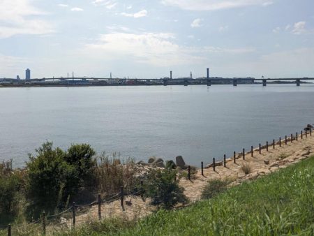 3年ぶりにサヨリ釣り