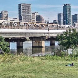 のんびりハゼ！