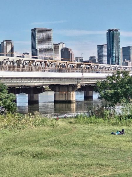 のんびりハゼ！