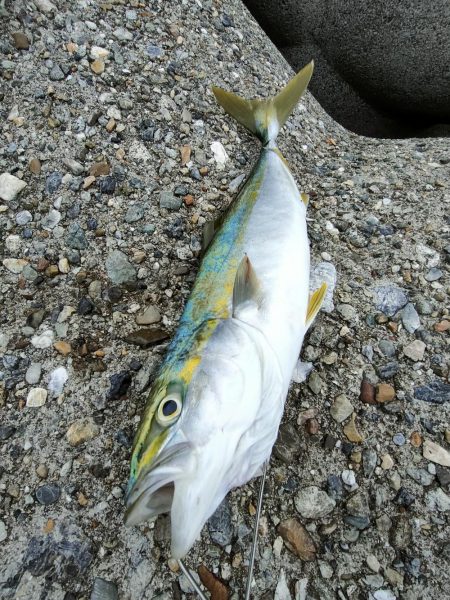 ショアジギング