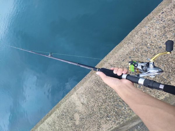 青物あがりましたー！