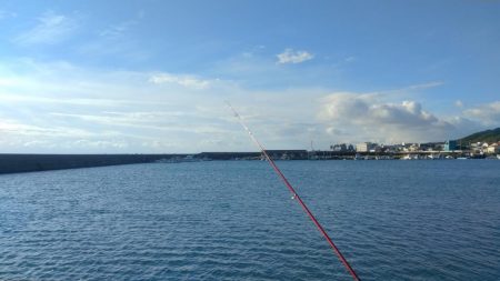 淡路浦港のキス