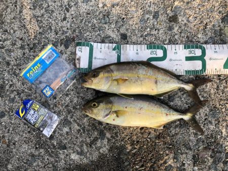 2024 佐渡ヶ島エギング 18回目【10月1日】