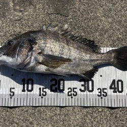 イチノ兄弟、釣果!