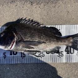 イチノ兄弟、釣果!