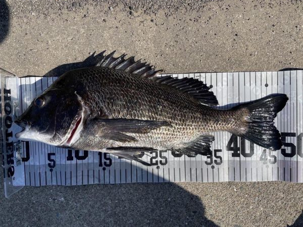 イチノ兄弟、釣果!