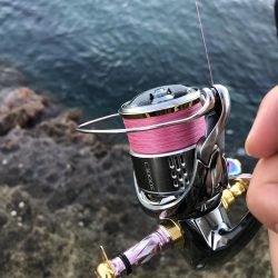 エギング 佐渡遠征⑤2日目