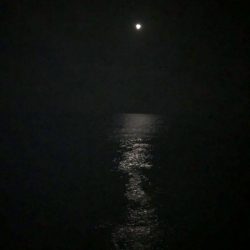 エギング 佐渡遠征⑥