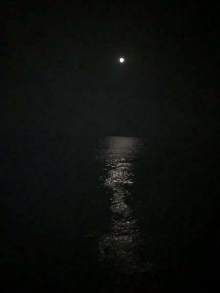 エギング 佐渡遠征⑥