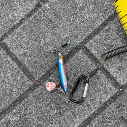 今度はサイズアップ!