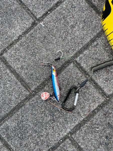 今度はサイズアップ!