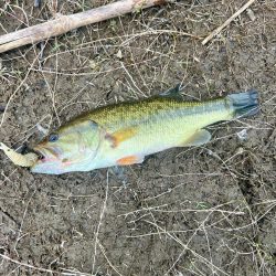 久しぶりのフィールド🔥