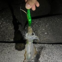 気持ちいい🎣🌪️