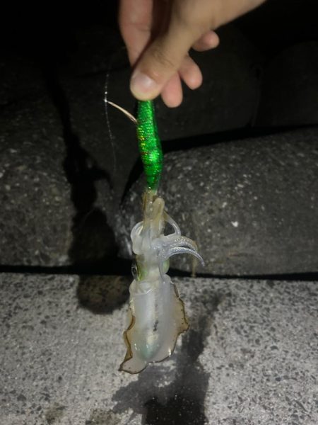 気持ちいい🎣🌪️