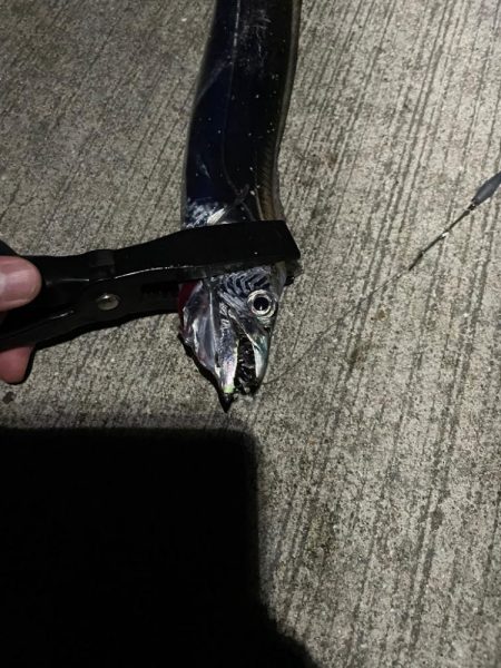 太刀魚浮き釣り