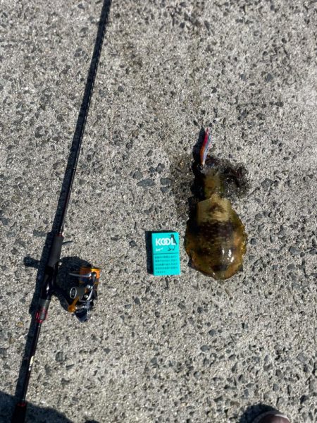 短時間で一杯‼️…