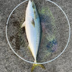 一投目からくるか!