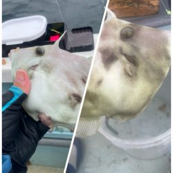 いつも悪天候(苦笑)