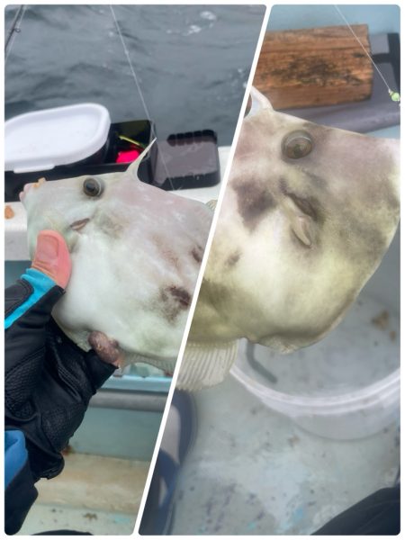 いつも悪天候(苦笑)