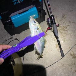 エギn…アジング!