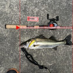 いきなり釣れたし奇跡も起こった!