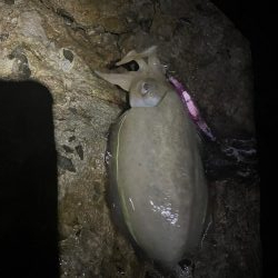 お久しぶりです!!